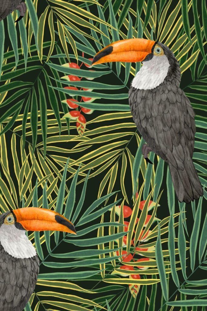 Best Toucan|Hornbill Wallpaper