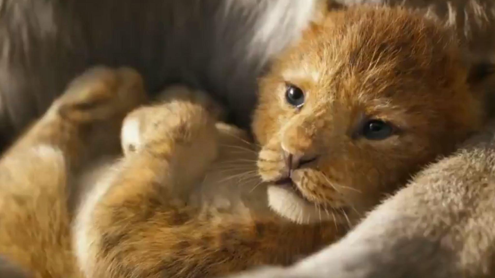 The Lion King Watch first trailer for remake starring Beyonce and