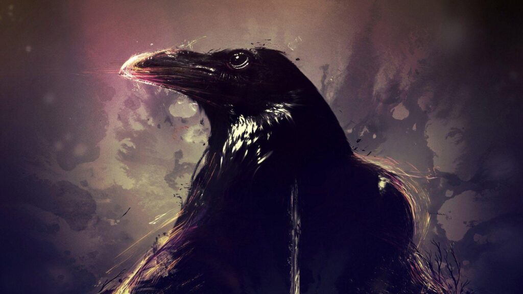 Free Download Crows Wallpapers