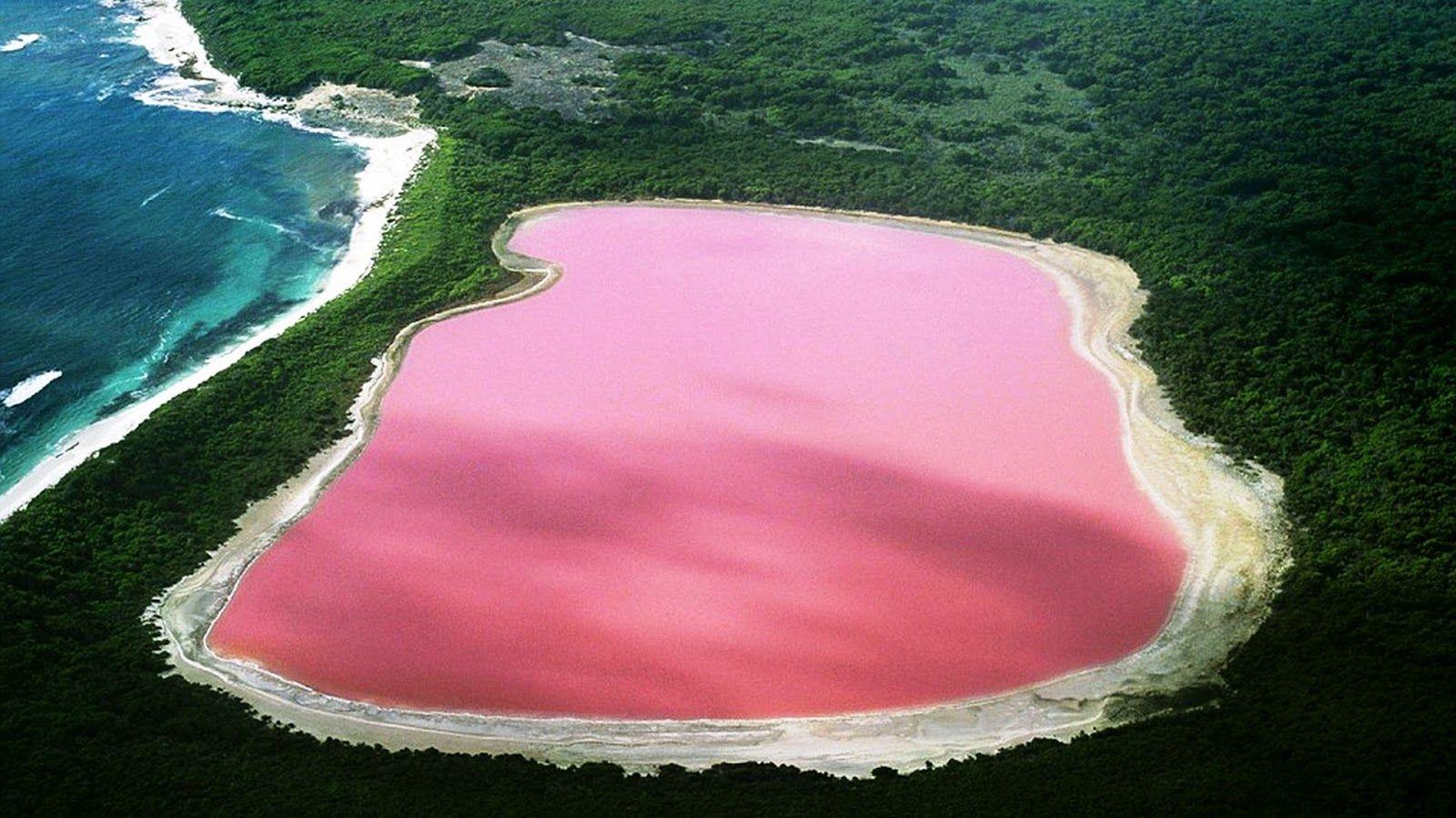 The pink lake Retba » Tripfreakz