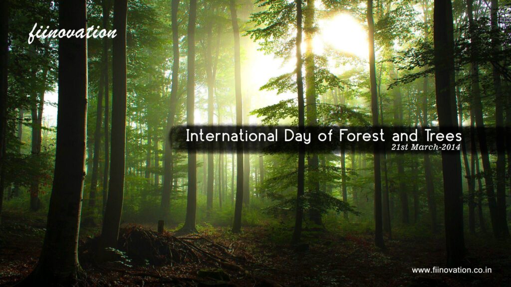 International Day of Forests