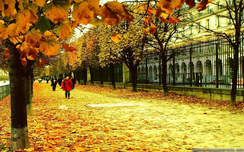 Autumn In France wallpapers