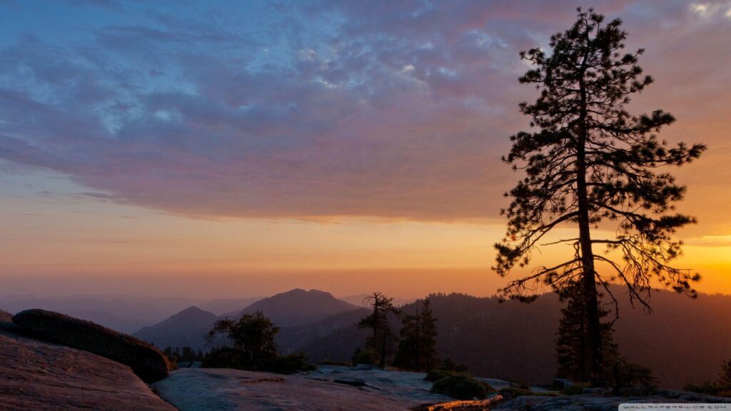 Beetle Rock, Sequoia National Park, California ❤ K 2K Desktop