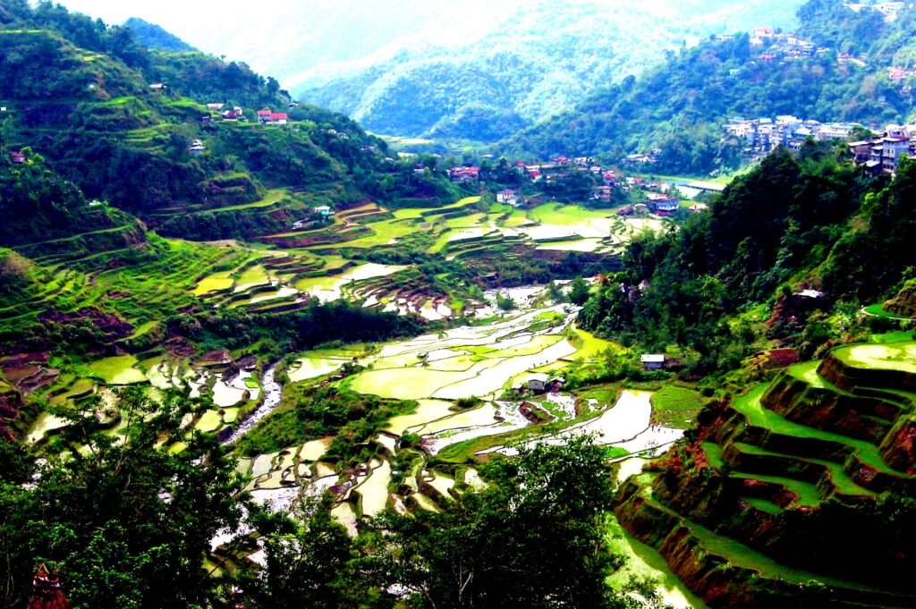Rice Terraces Wallpapers High Quality