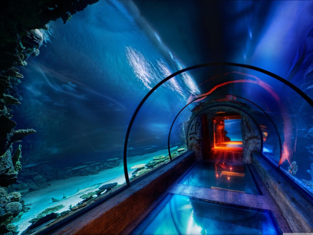 Underwater passage las vegas