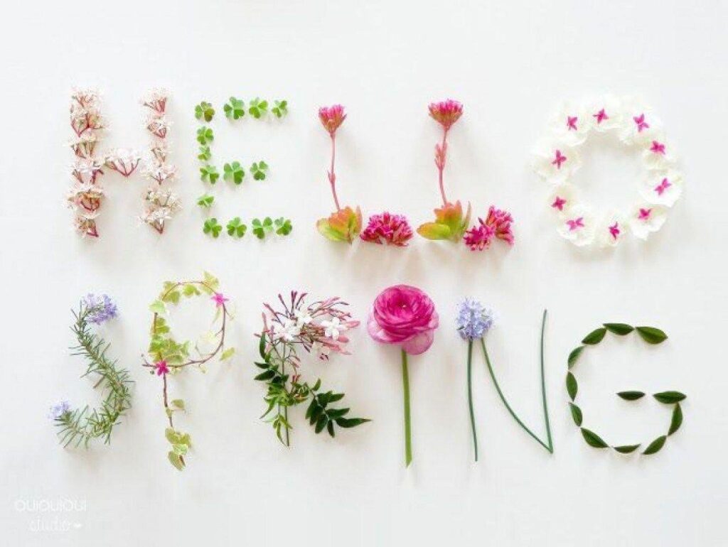 Vernal Equinox First Day Of Spring beautiful wallpapers full