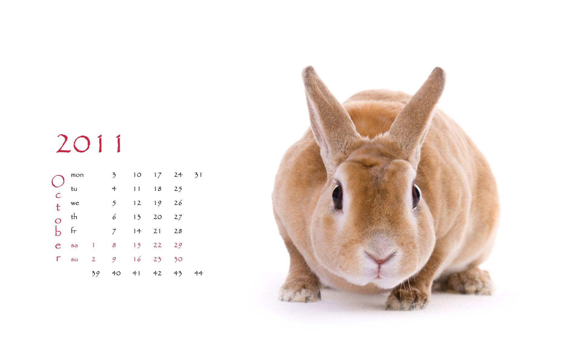 Calendar Year of the Rabbit
