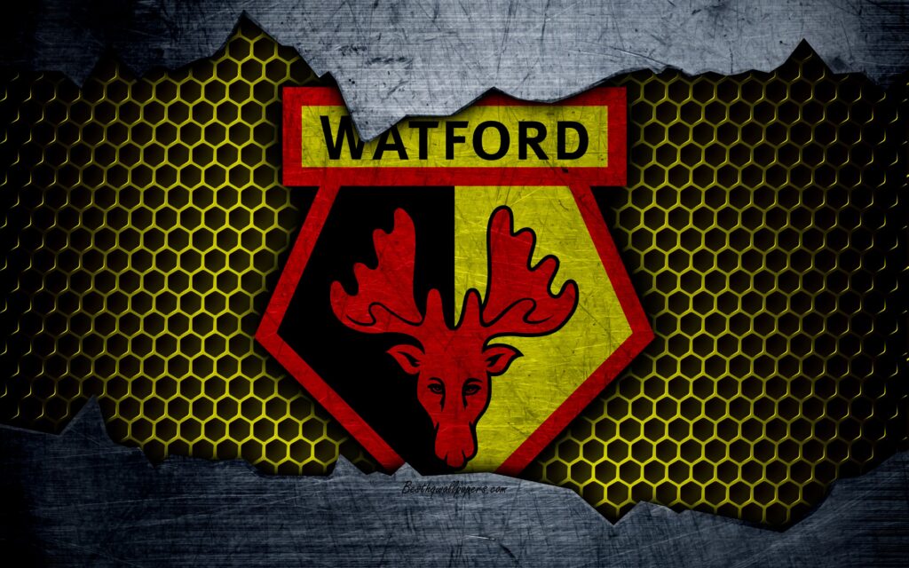 Download wallpapers Watford FC, k, football, Premier League