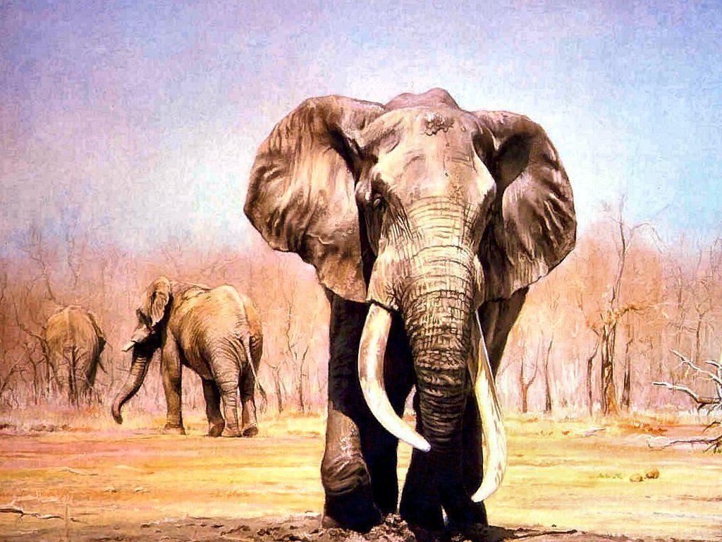 Wallpapers For – Painted Indian Elephant Wallpapers