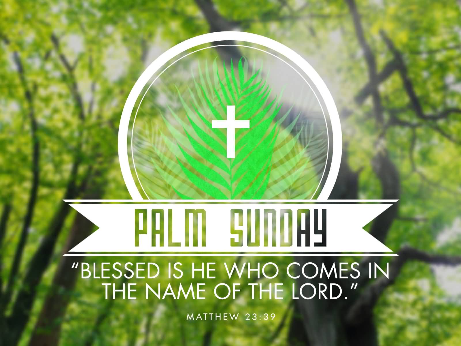 Happy Palm Sunday Wishes Quotes Pictures Wallpaper Messages Sms