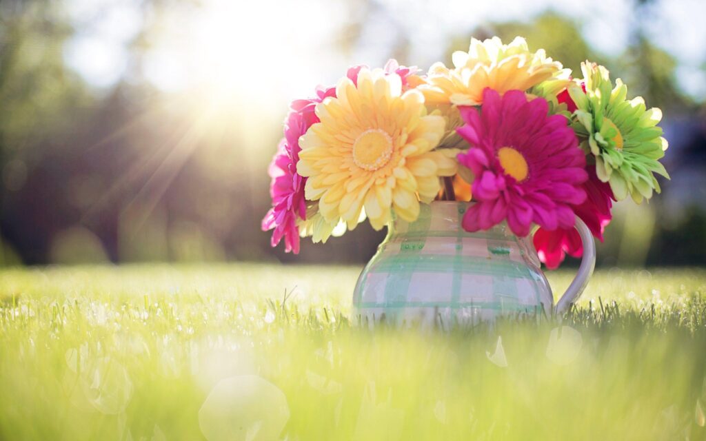 Spring Wallpapers Download Group