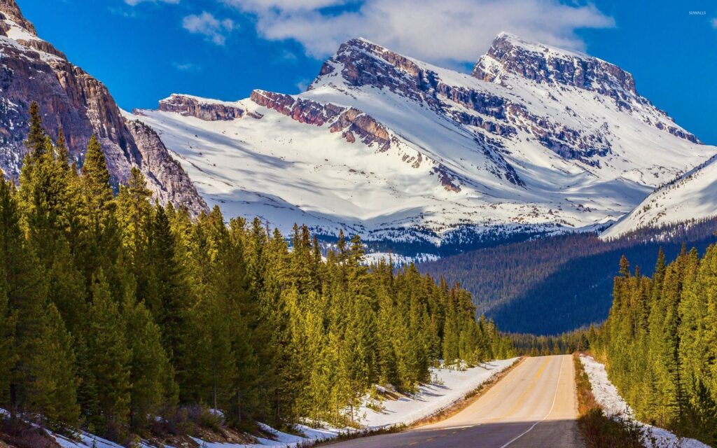 Grand Teton National Park wallpapers