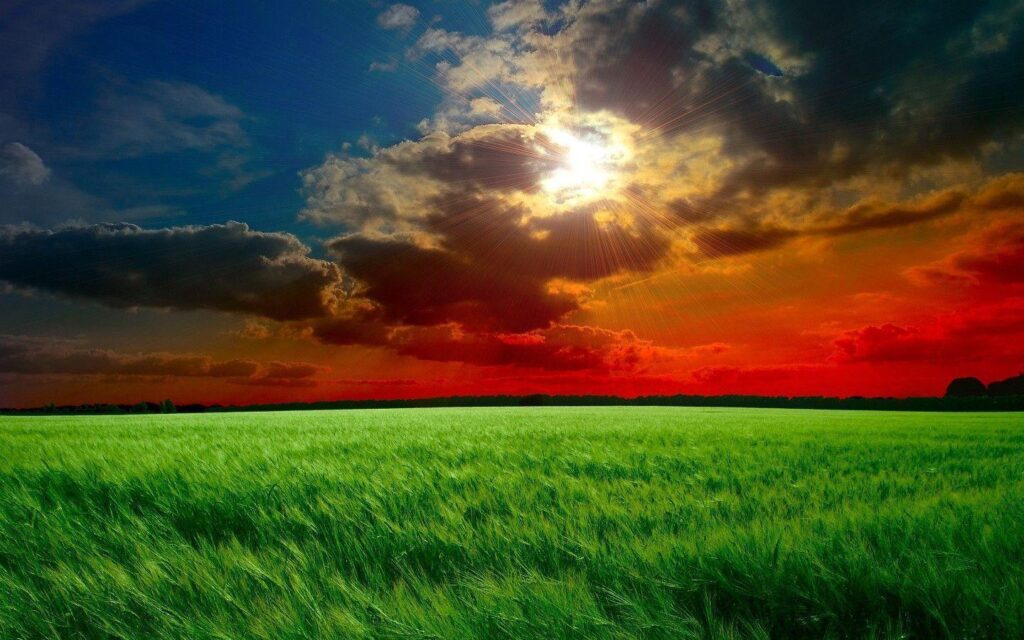 Red sunset fields Wallpapers