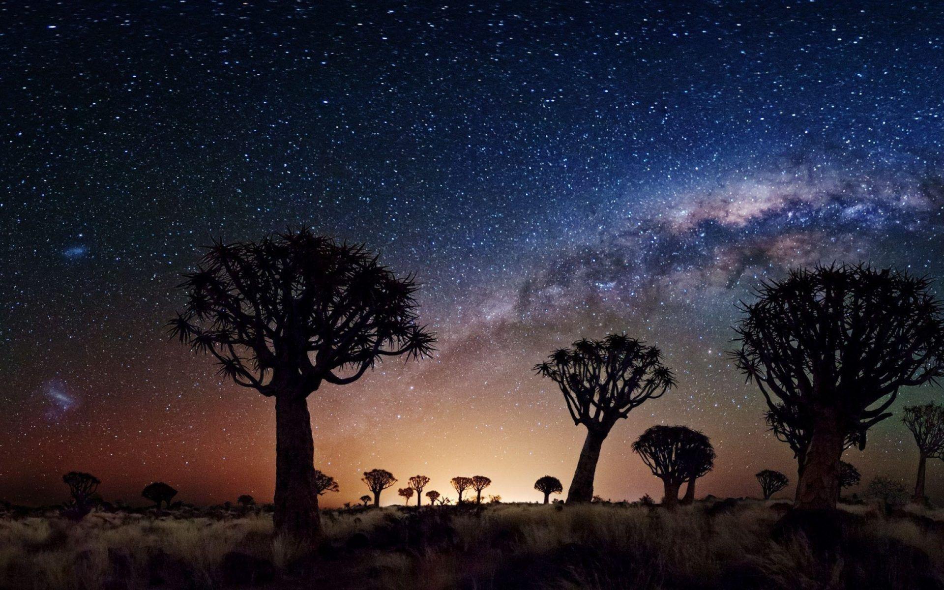 Night Landscape The Milky Way Trees Desert Area In Night Joshua