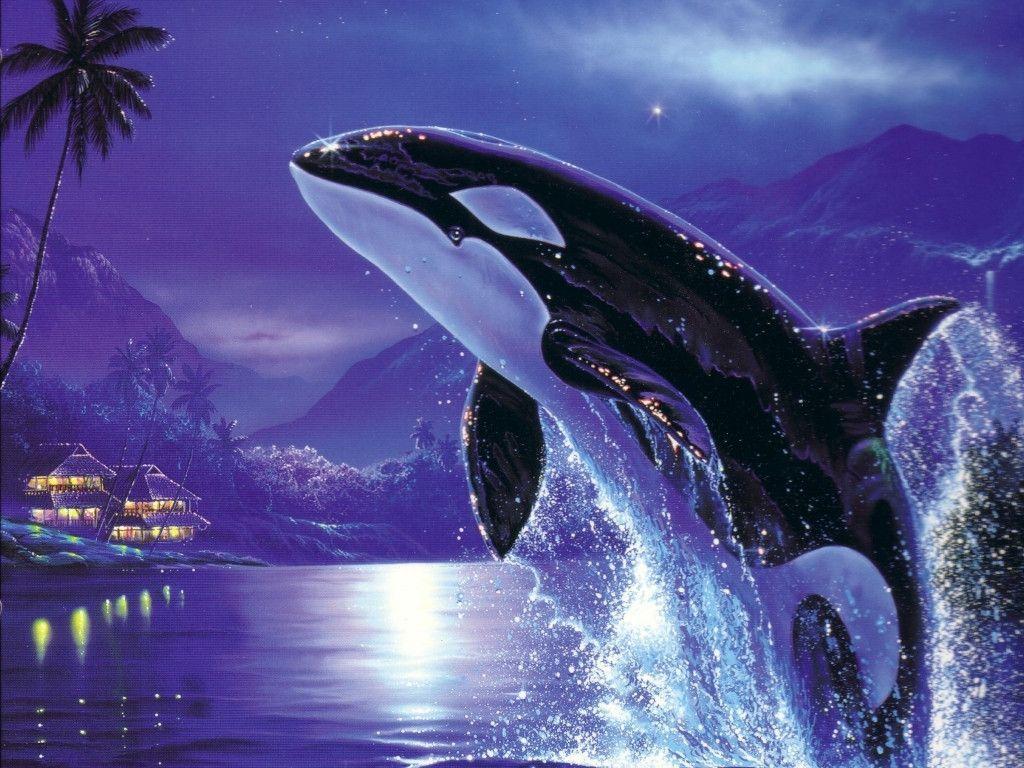 Jumping Orca Wallpapers High Res Pics Wallpapers