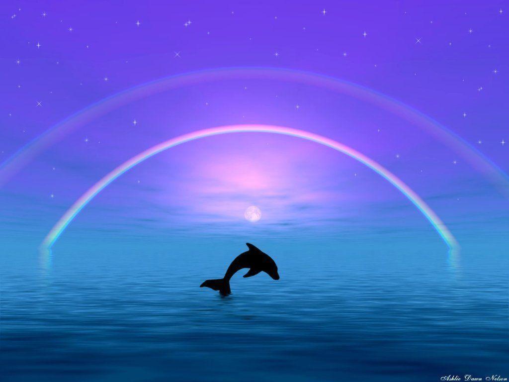 Dolphin Wallpapers Desk 4K Backgrounds