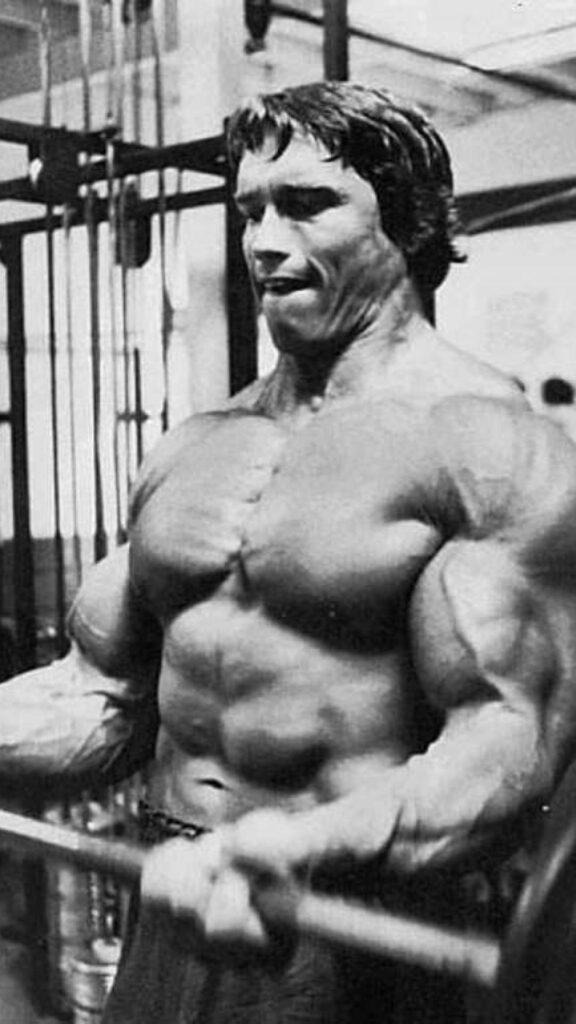 Arnold Schwarzenegger 2K Wallpapers