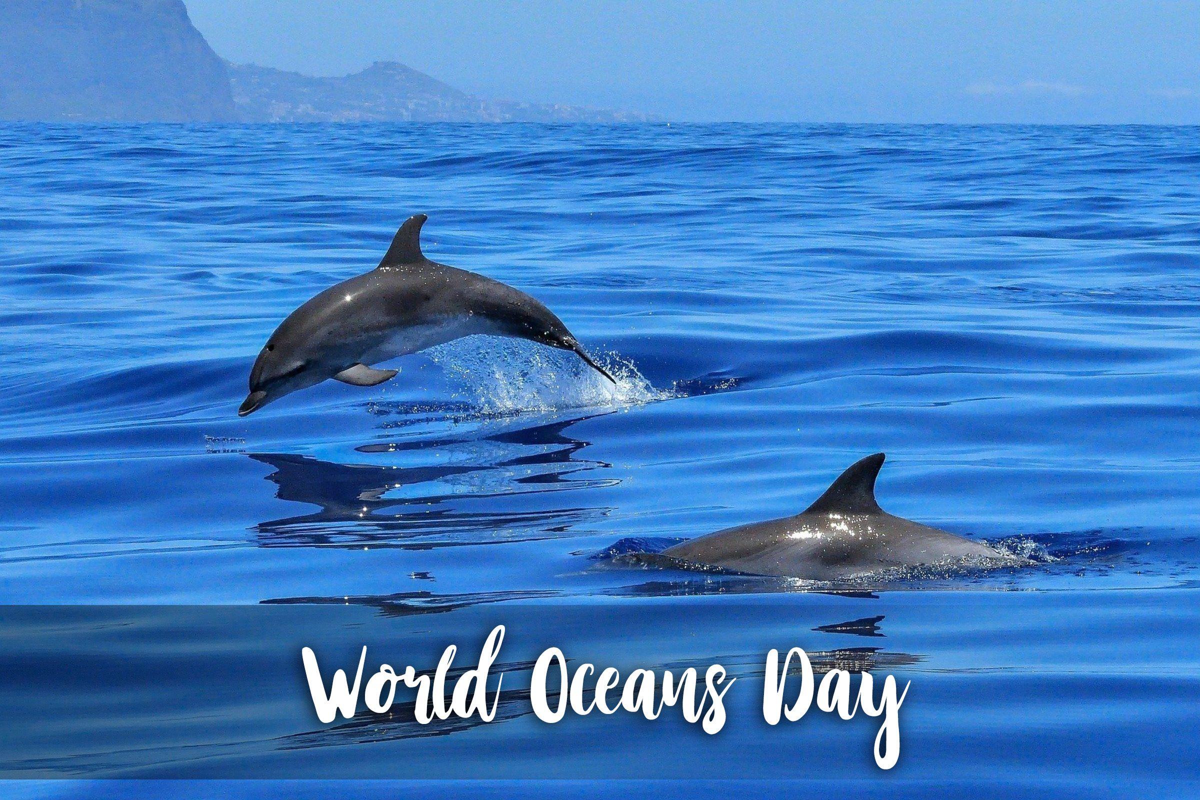 Happy World Oceans Day Our Ocean Our Future Wallpapers