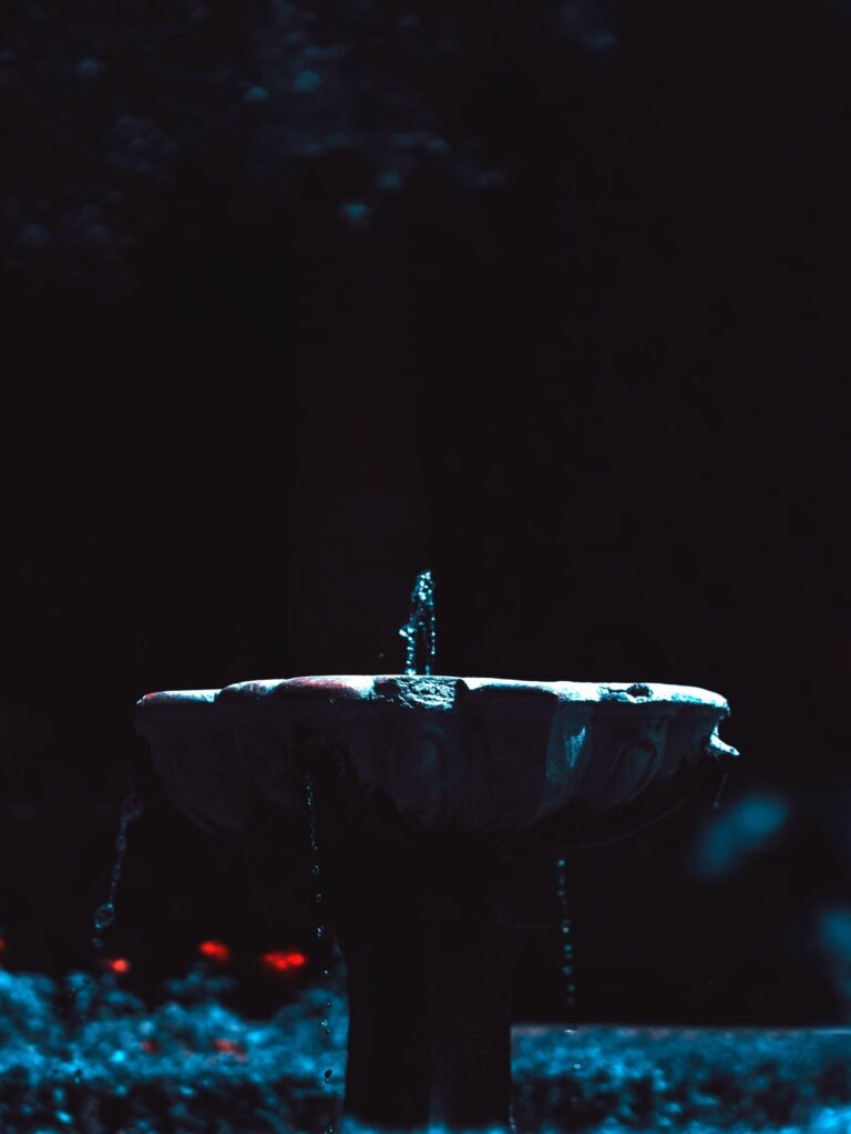 Download Fountain, Dark, Photography, Red Flowers