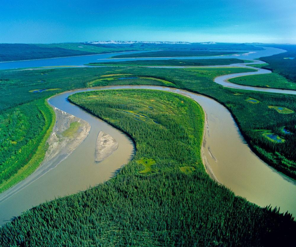 Peru Amazon River Trees Wallpapers 2K Free