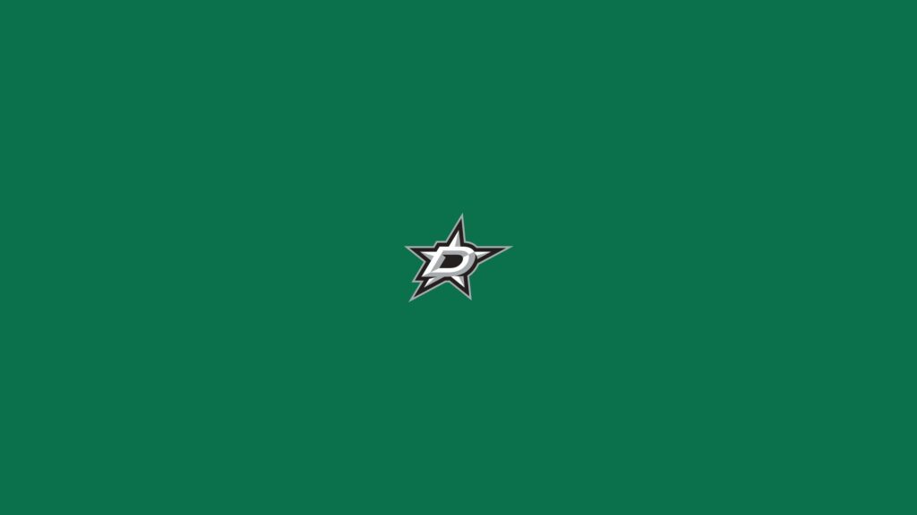 DALLAS STARS nhl hockey texas