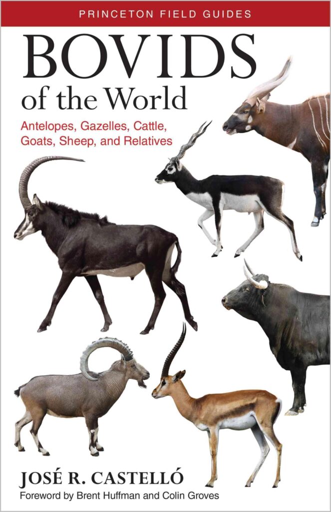Bovids of the World Antelopes, Gazelles, Cattle, Goats