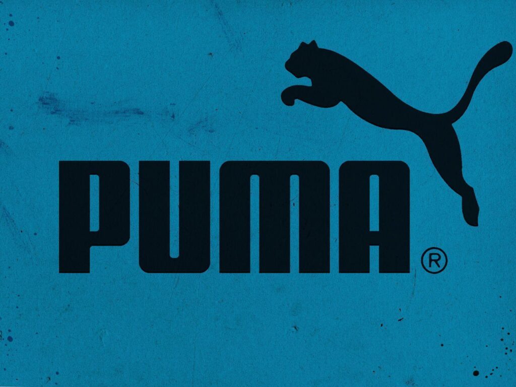 Outstanding Blue Puma Wallpapers