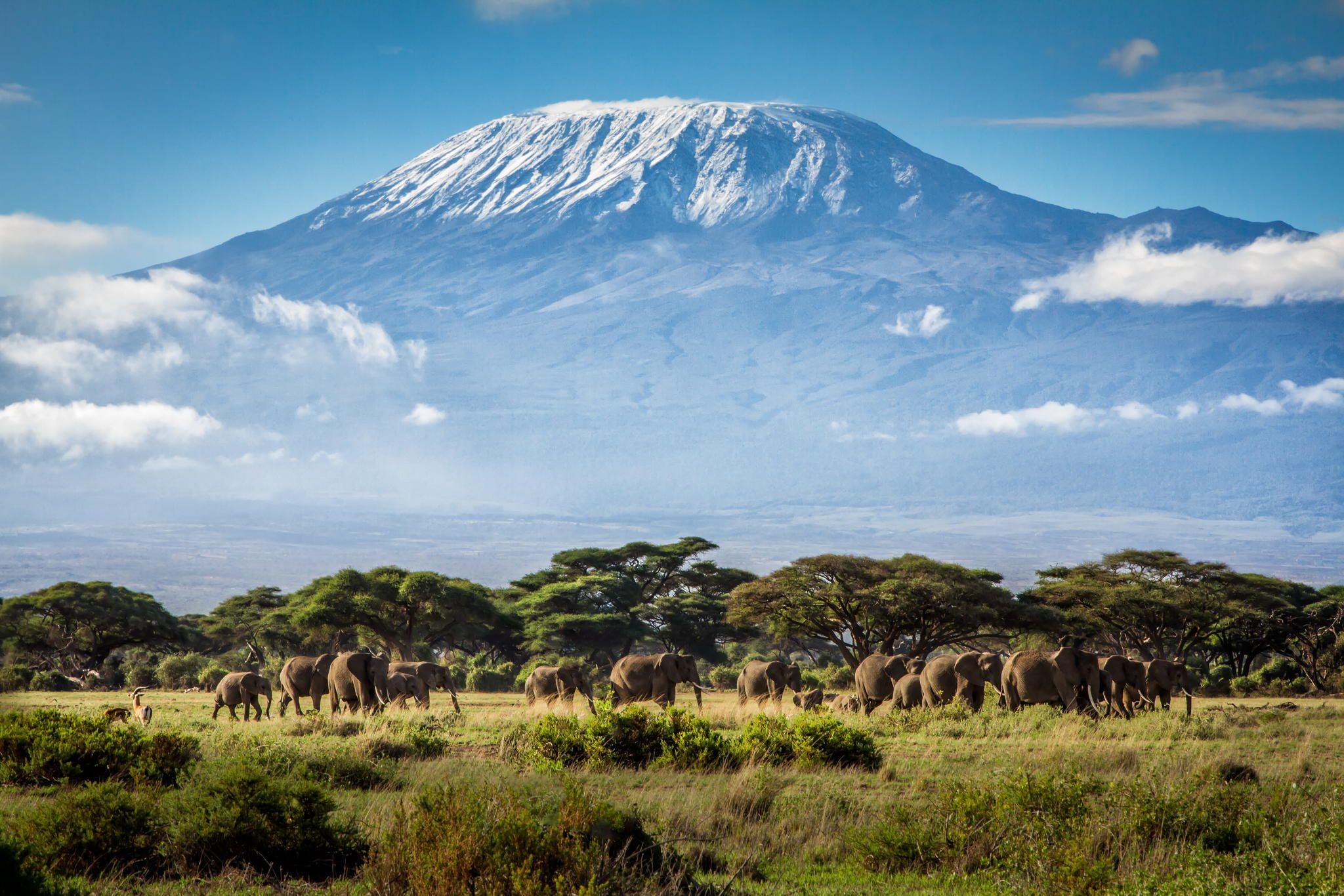 Mount Kilimanjaro 2K wallpapers