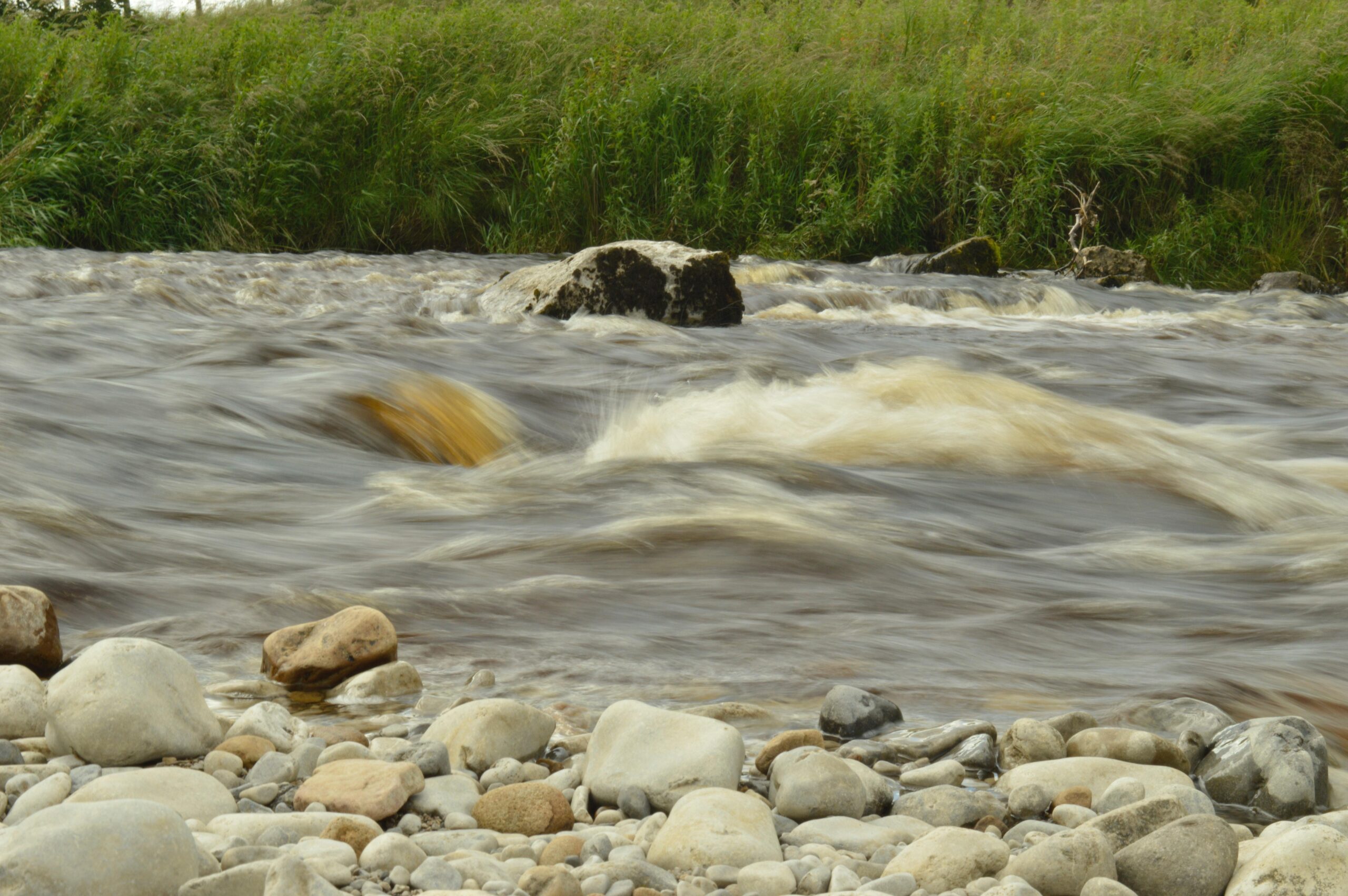 Free stock photo of flowing, river, riverbank