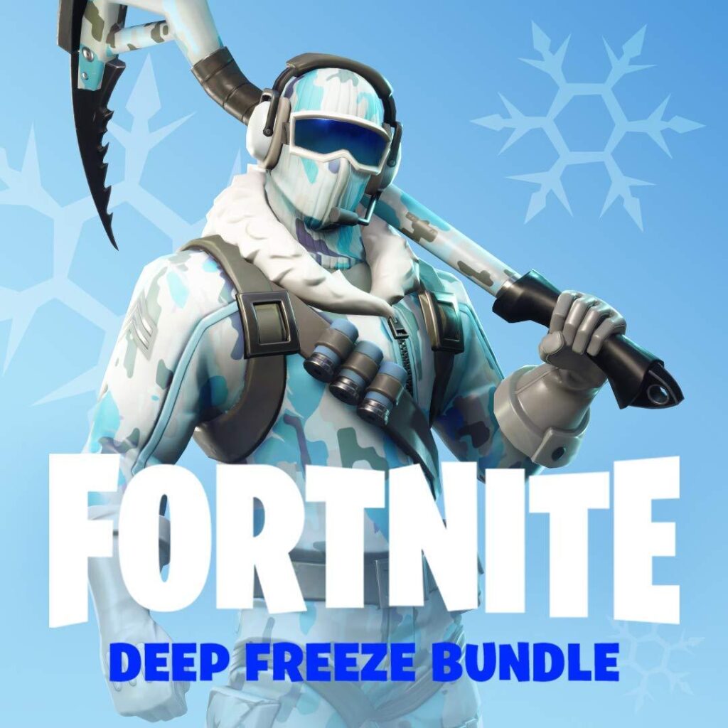 Warner Bros Fortnite Deep Freeze Bundle