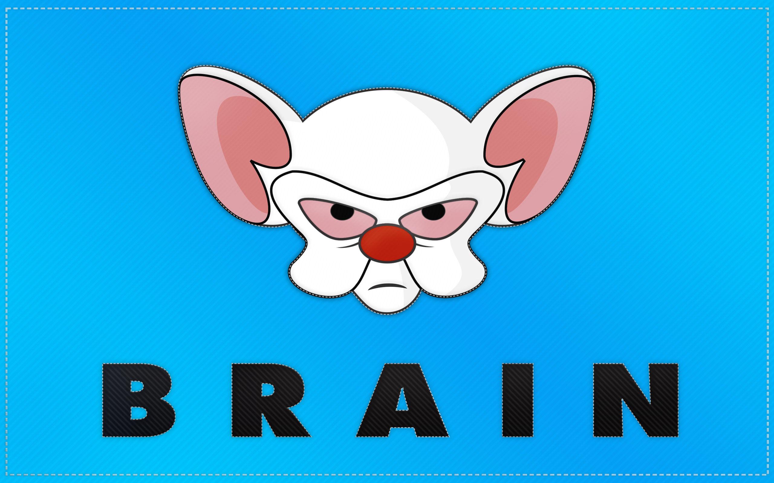 Pinky And The Brain Flag Wallpapers – Dave’s Geeky Ideas