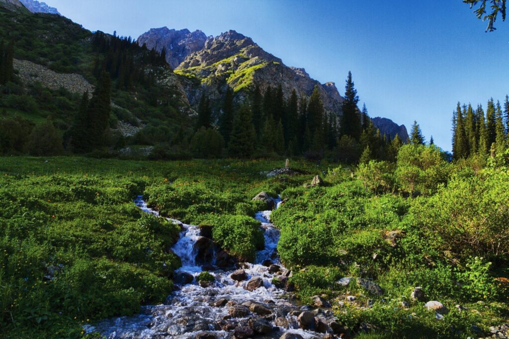 Mountains Scenery Kyrgyzstan Tian Shan Stream Grass Nature wallpapers