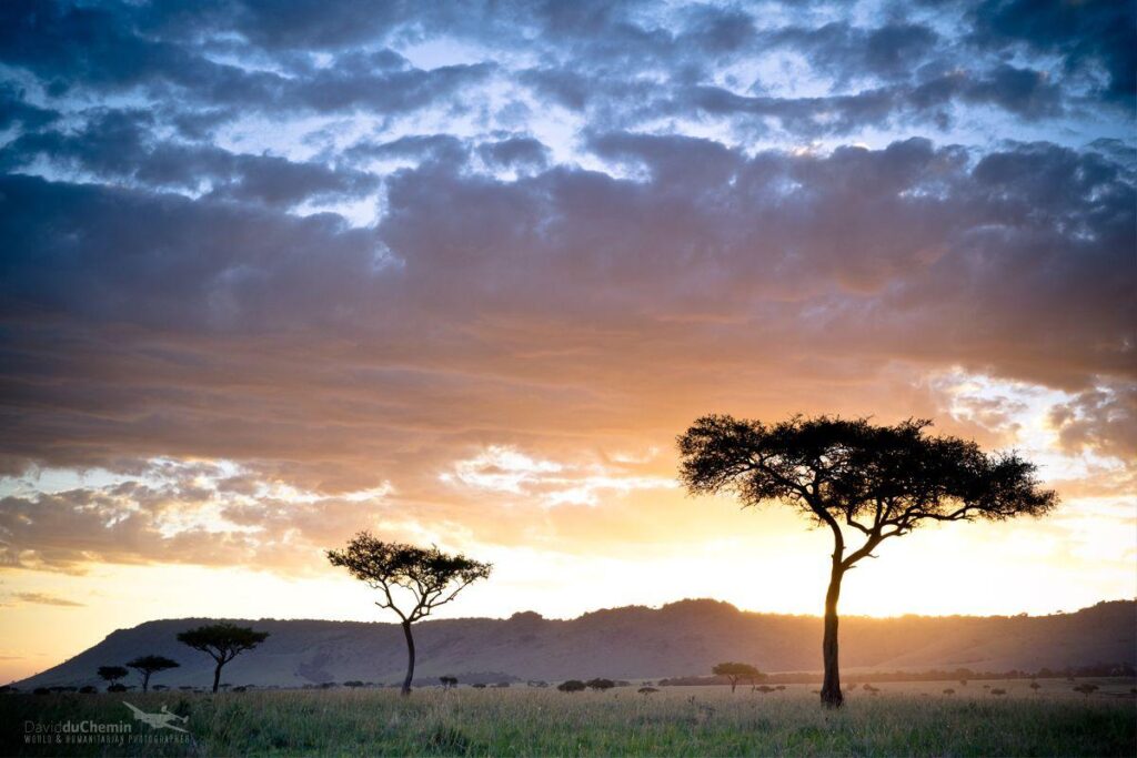 Postcard & Wallpapers from Kenya