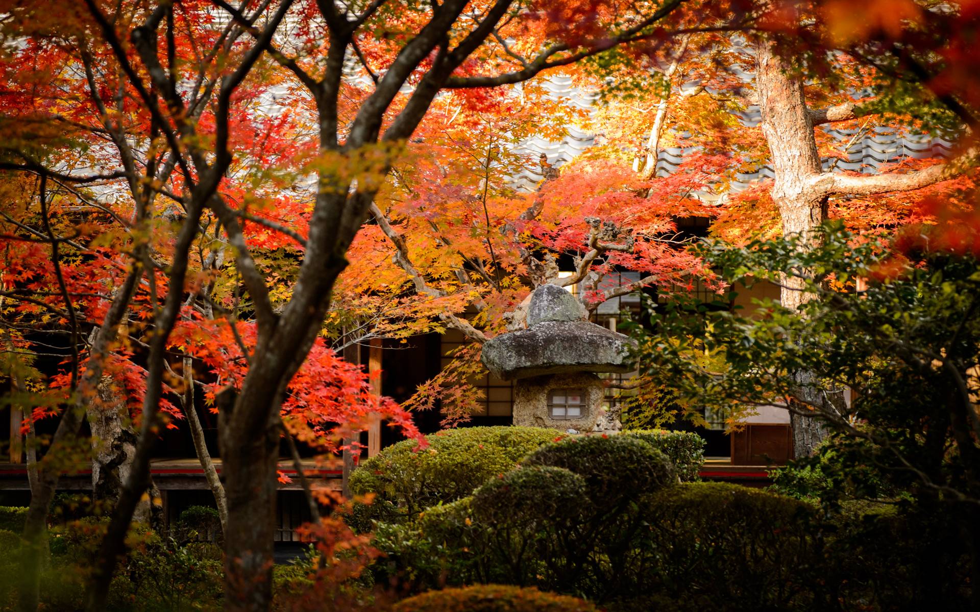 Temple of North East Kyoto Wallpapers