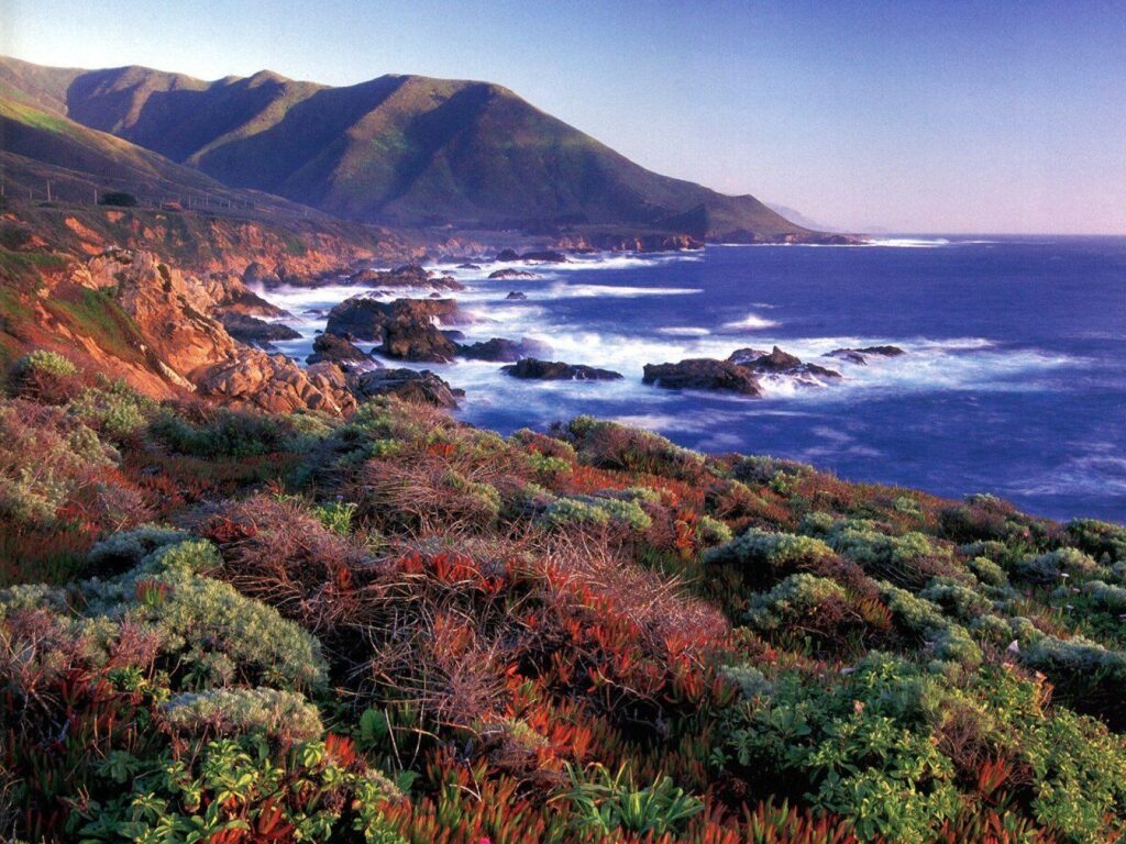 Big Sur Wallpapers and Backgrounds