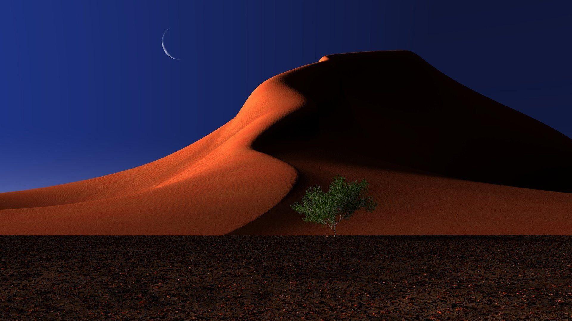 Landscape With A Red Sand Dune African Acacia Tree And Desert