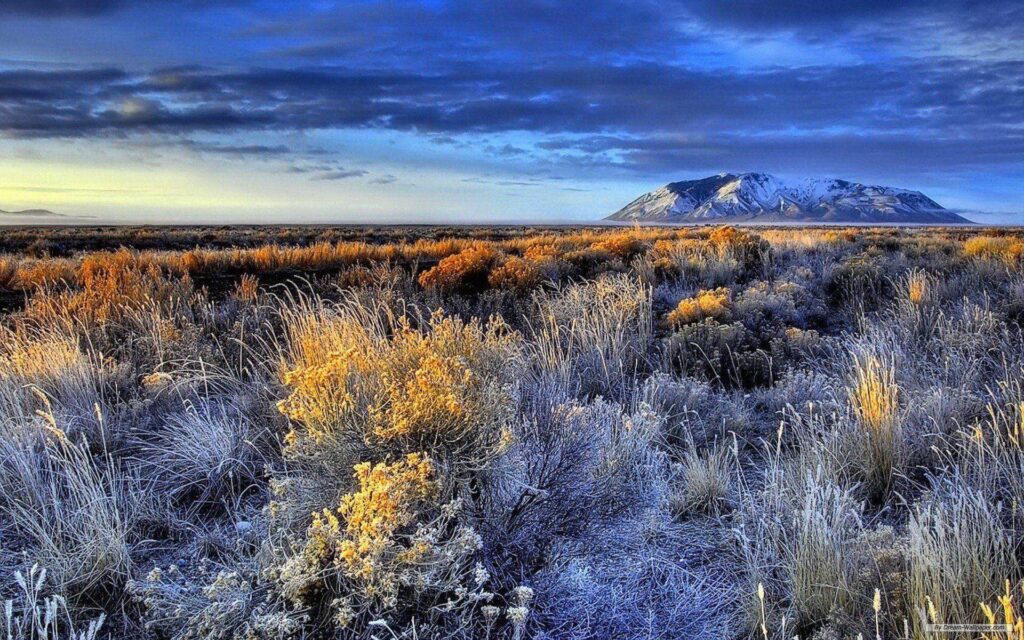 Idaho Landscapes