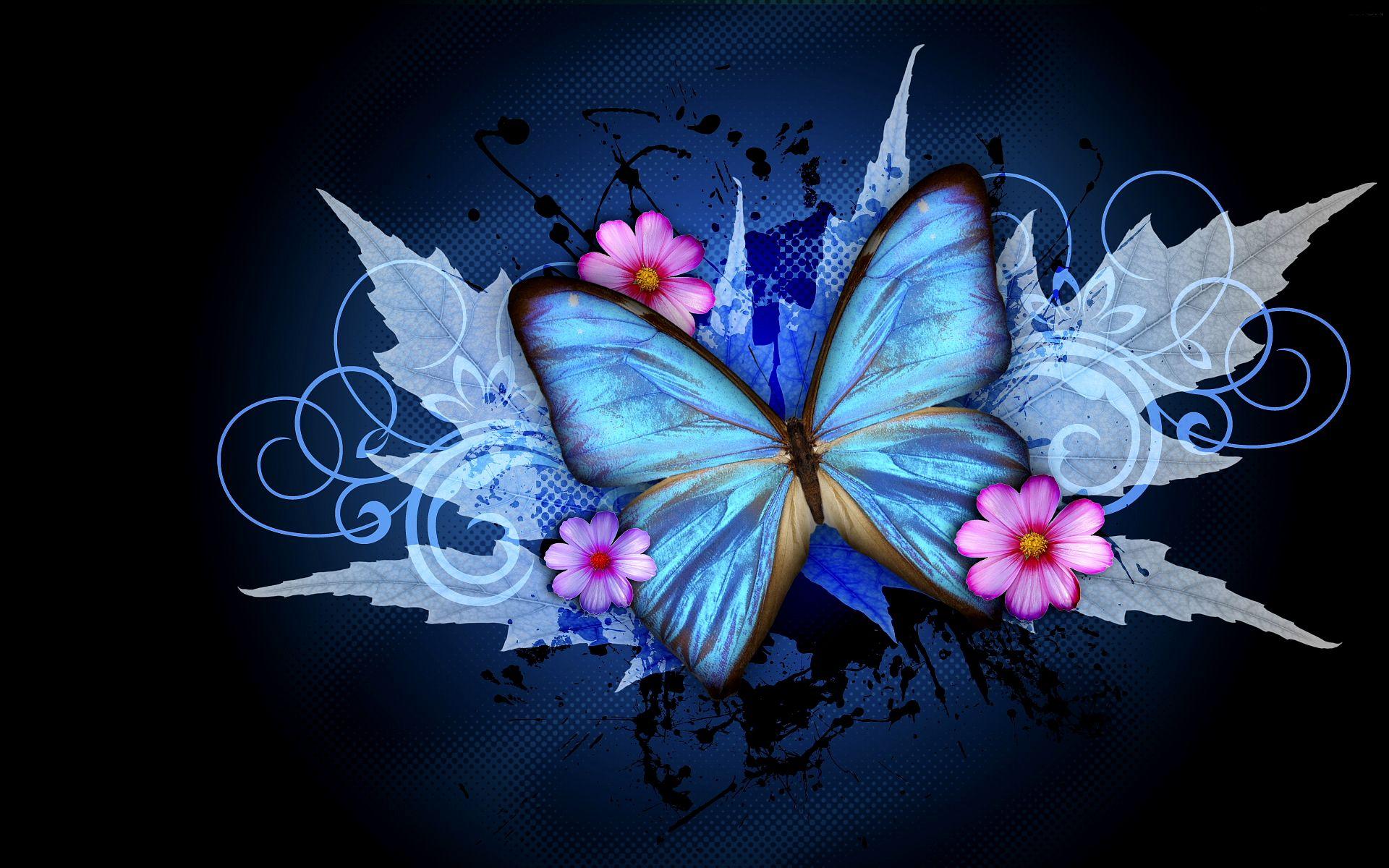 Blue and black butterflies wallpapers