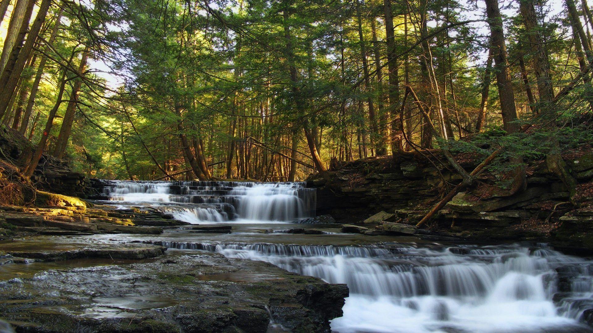 Pennsylvania Tag wallpapers Forest Logan Usa Nature Run Falls