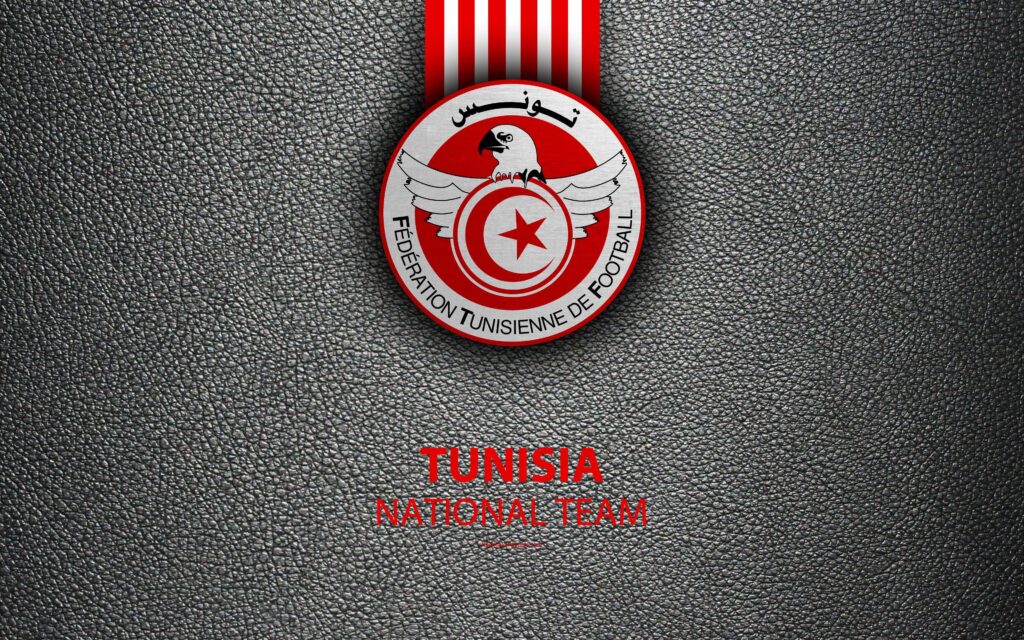Download wallpapers Tunisia national football team, K, leather