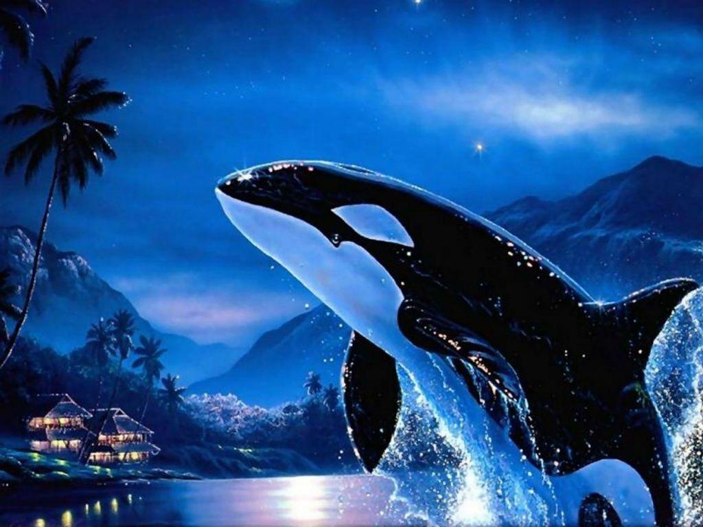 Wallpaper For – Orca Wallpapers