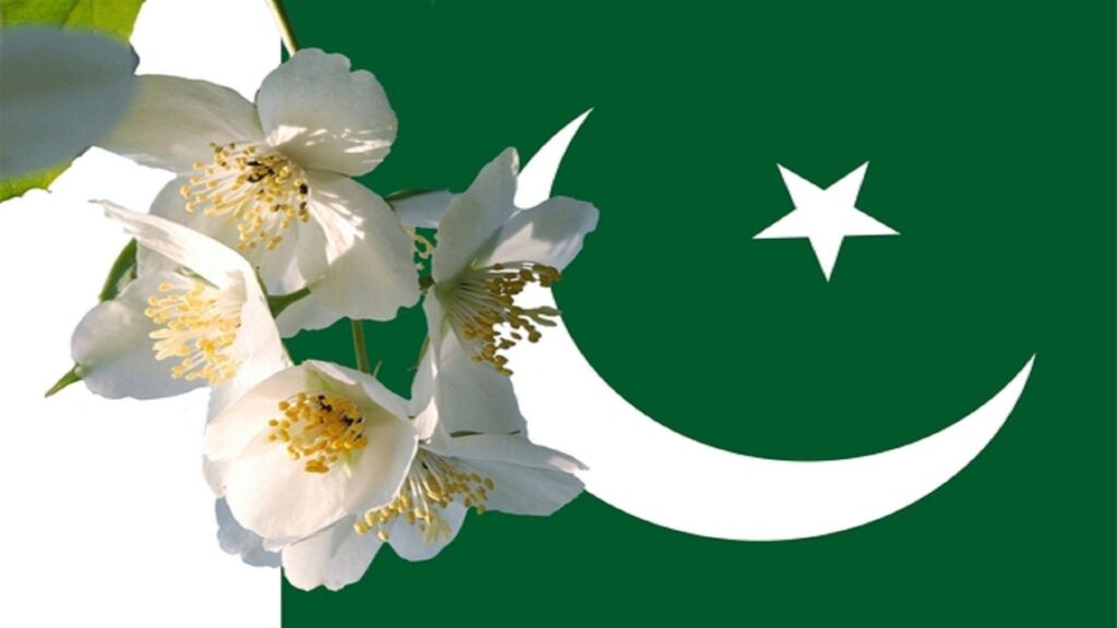 Pakistan Flag Wallpapers 2K ·①