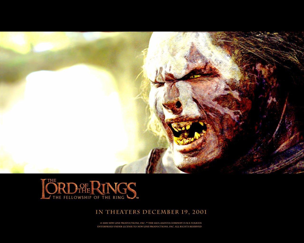 The Lord Of The Rings The Fellowship Of The Ring wallpapers