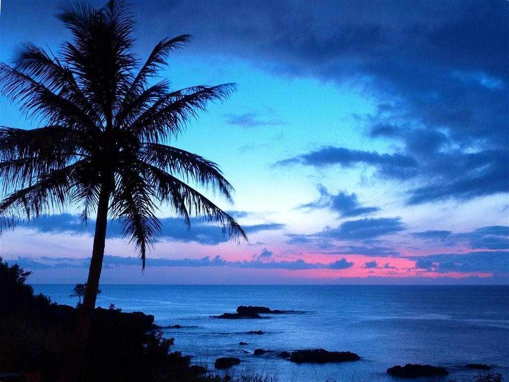 Tropical Sunset Backgrounds 2K Wallpapers in Beach n