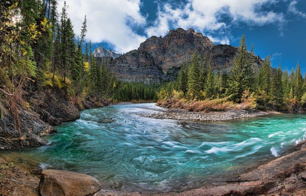 River Mountain Creek Canada Forest River Banff National Park Water