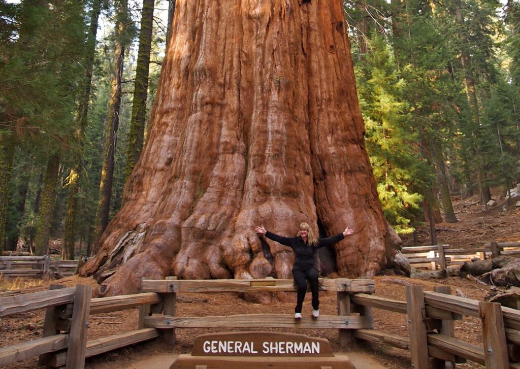 Best 2K Sequoia National Park Wallpapers