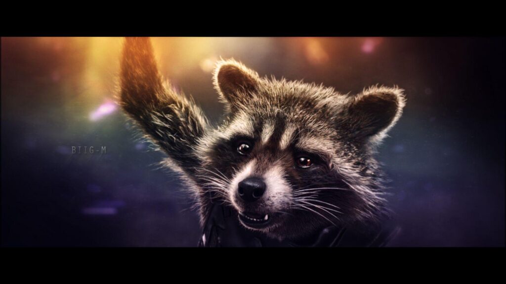 Rocket Raccoon wallpapers