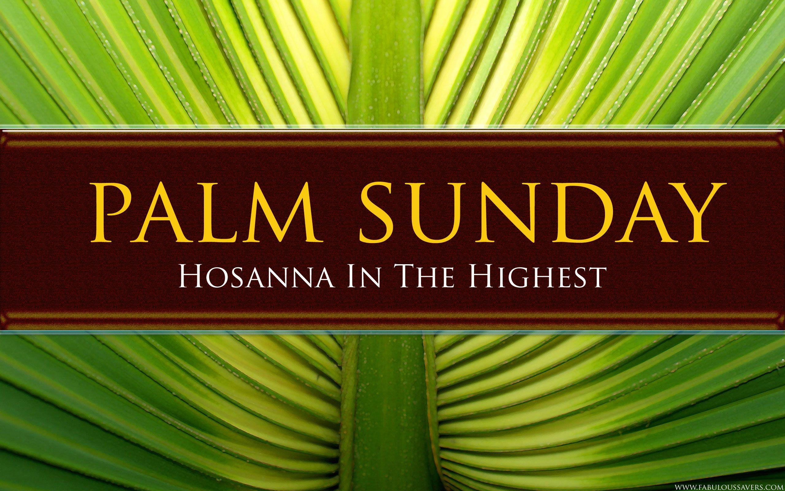 Palm Sunday Wallpapers Free Download 2K Backgrounds