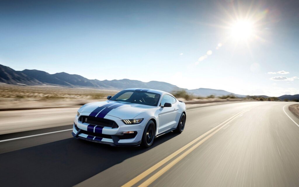 Shelby Ford Mustang GT Wallpapers
