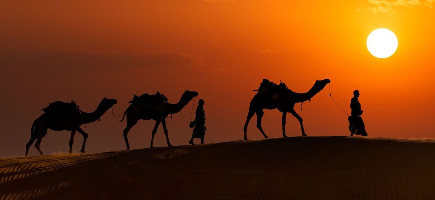 Jaisalmer Camel Safari A Travelers Guide